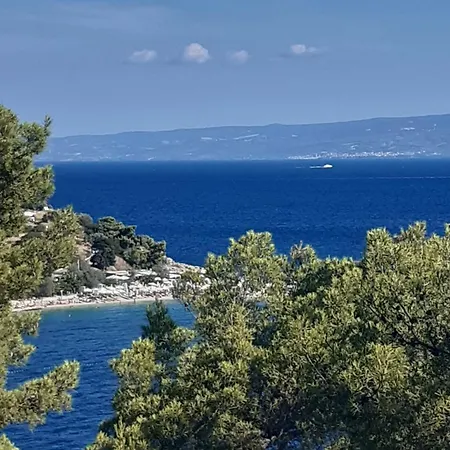 Multiverse * ポドストラナ