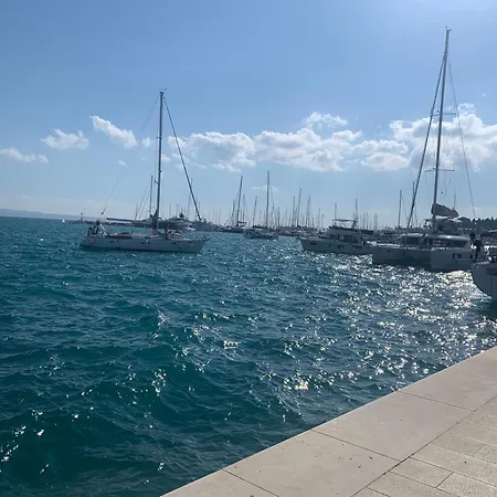 Multiverse * ポドストラナ