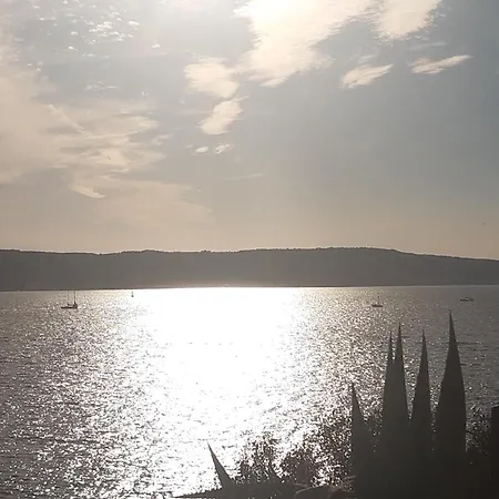 Multiverse Lejlighed