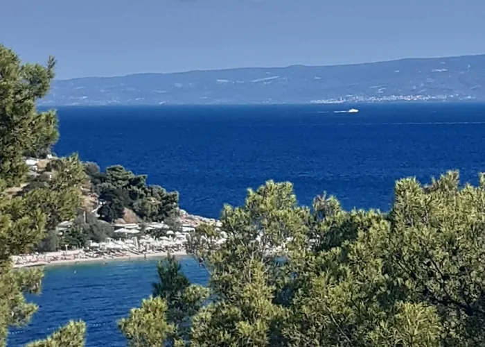 Multiverse * Podstrana